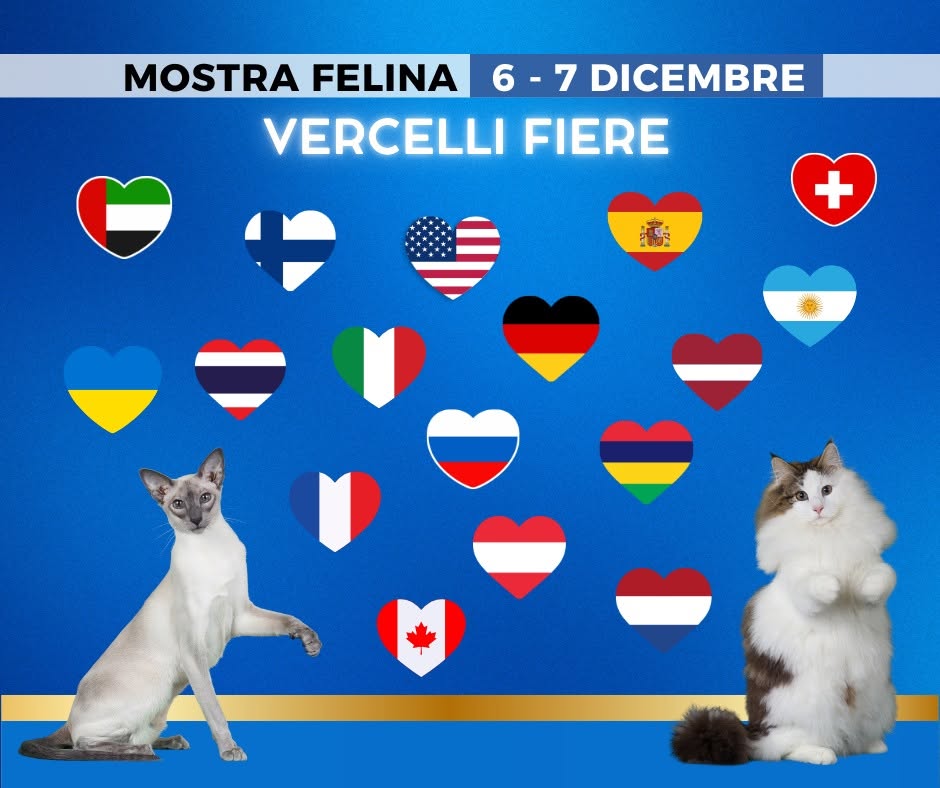 Affiche de Mostra Felina