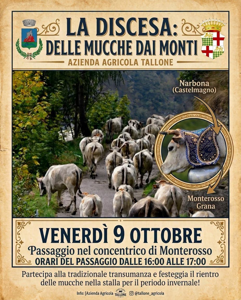 Plakat von La discesa delle mucche dai monti